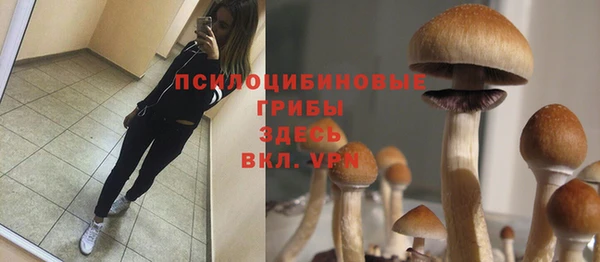 мдпв Тында