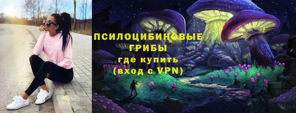 мдпв Тында
