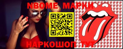 стаф Гатчина