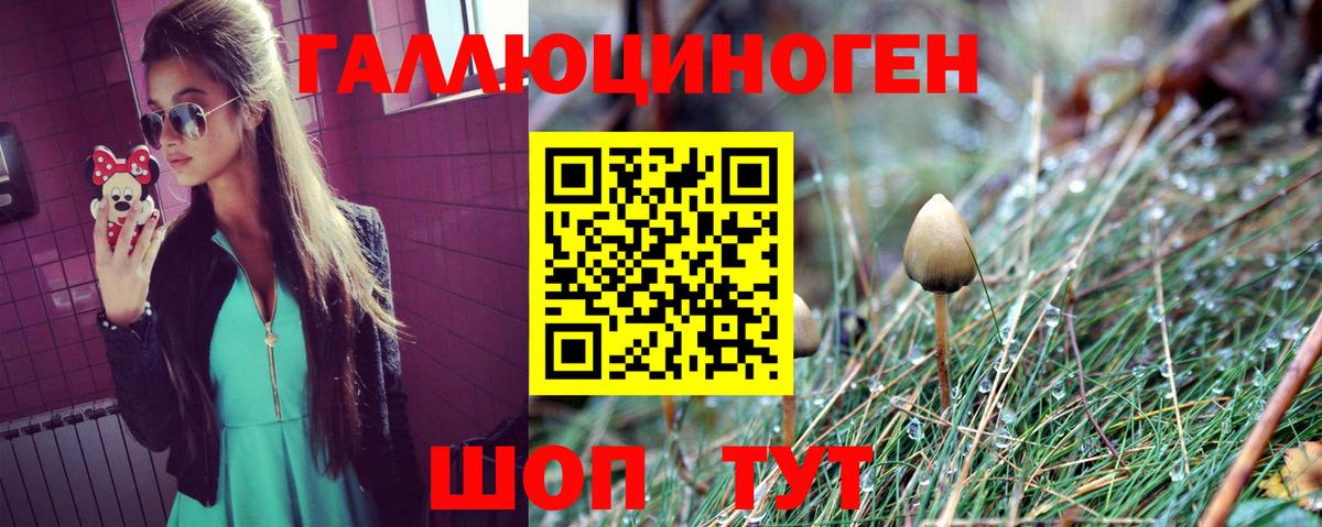 Галлюциногенные грибы прущие грибы  Вход с VPN  Псилоцибиновые грибы GOLDEN TEACHER  Гагарин 