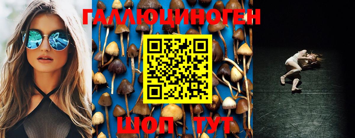 Гагарин  Гашиш  Метадон  А ПВП СК   ГАШ  МЕФ   Бошки Шишки  Кокаин  МЕФ кристаллы  НБОМе 