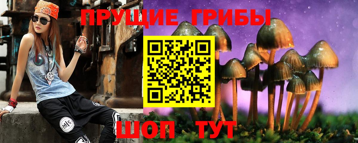 Псилоцибиновые грибы Psilocybe Гагарин