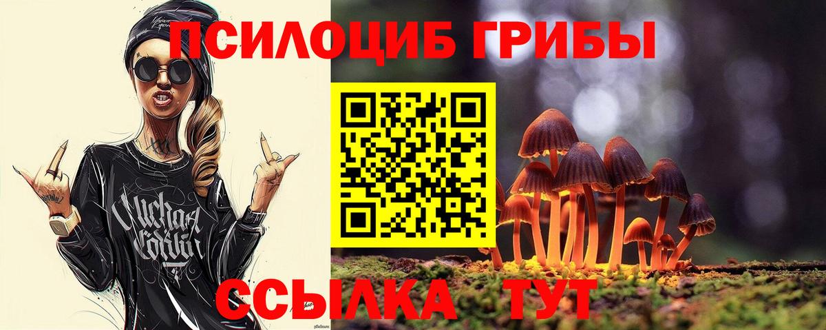 Галлюциногенные грибы GOLDEN TEACHER  Вход с VPN  Гагарин 