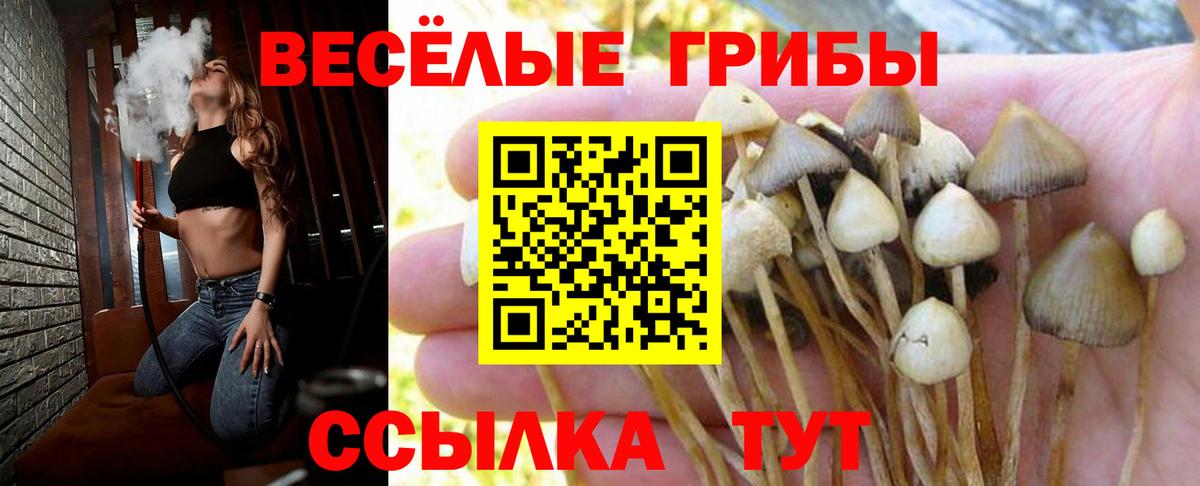 Галлюциногенные грибы Cubensis Гагарин